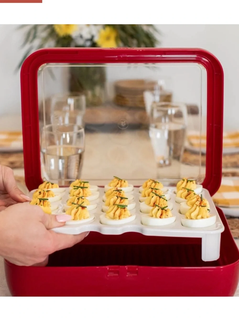NWT Fancy PANZ Deviled Egg Trays 🥚